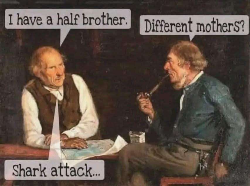 Half-Brother.jpg