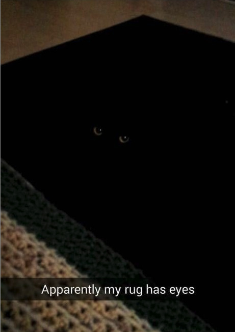 BlackCatRug.jpg