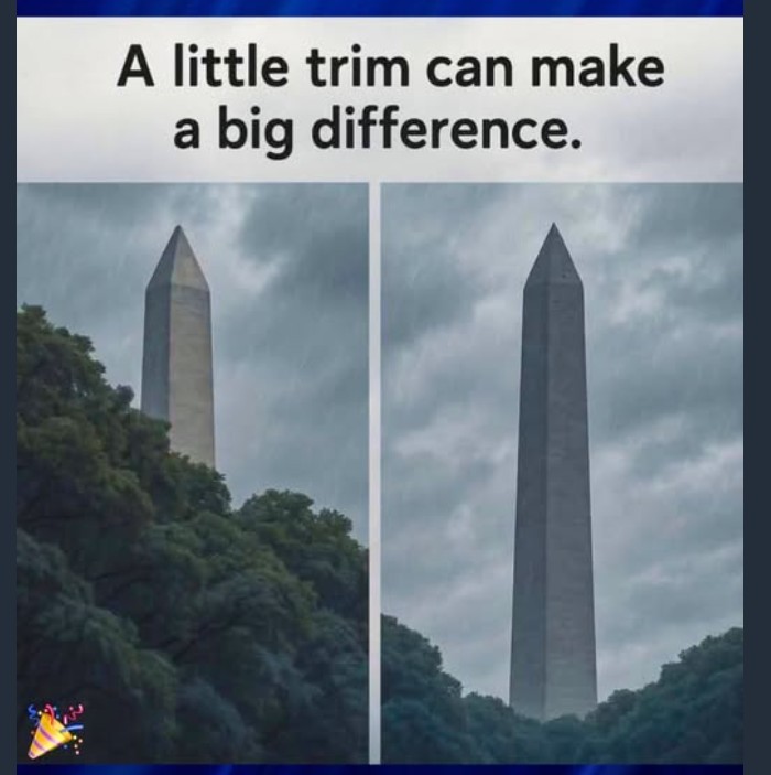 Screenshot 2025-05-21 175146.jpg