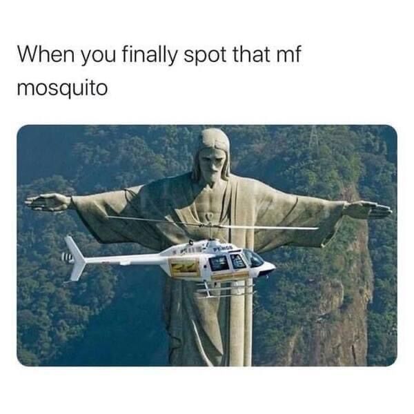 mf-mosquito.jpg