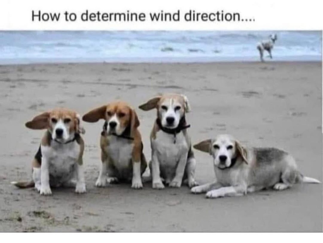 winddirection.jpg