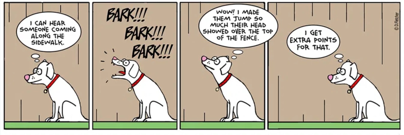 Bark-joke.jpg
