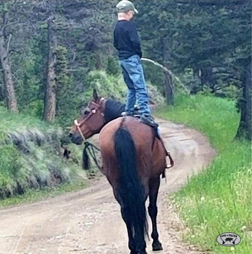 How to piss off a horse.jpg