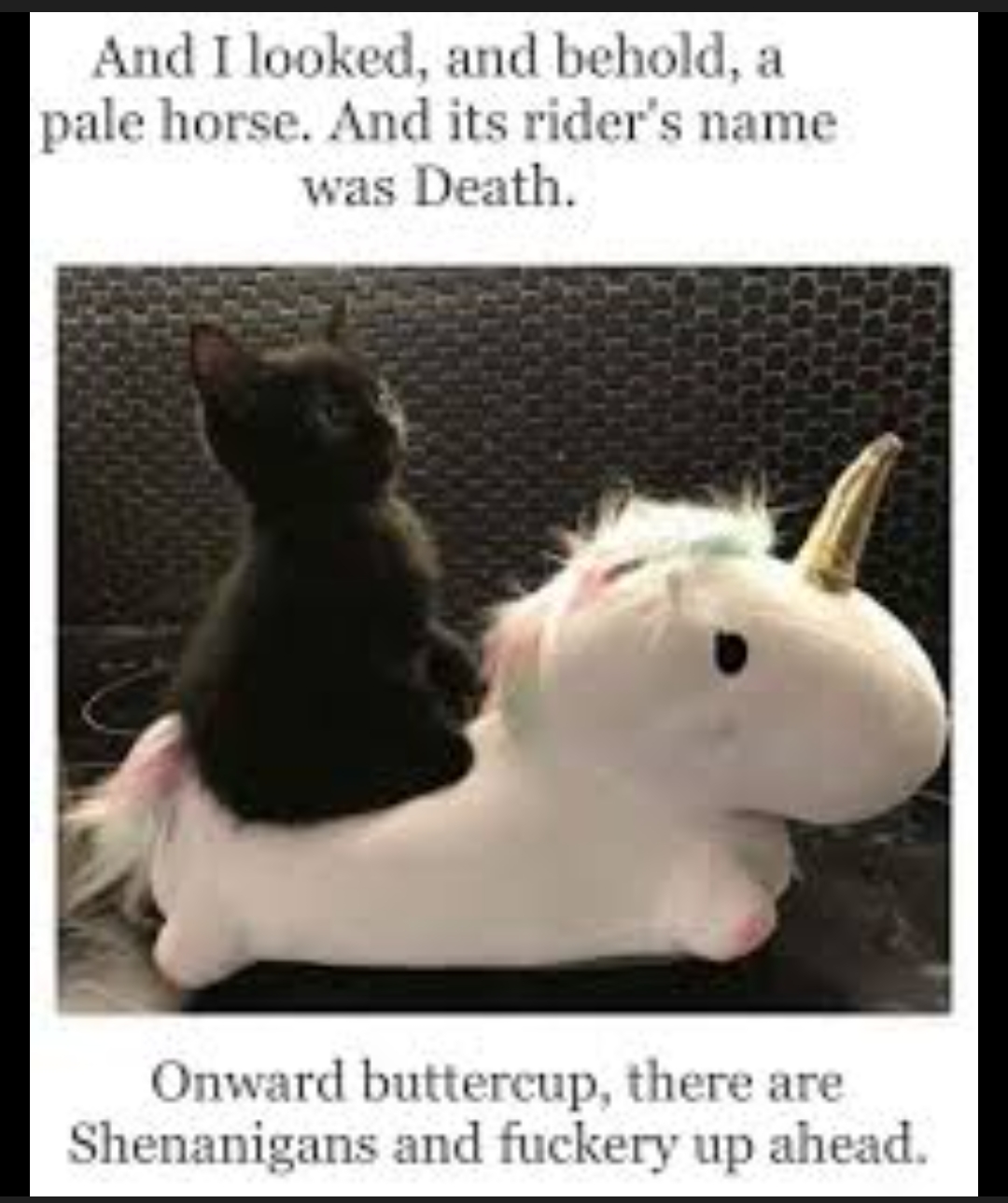 PaleHorse.jpeg