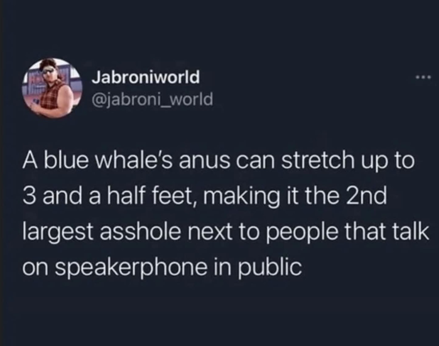 WhaleAnus.jpg