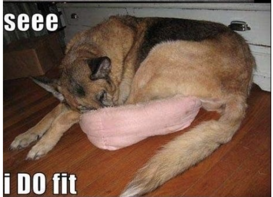 See I DO fit.png