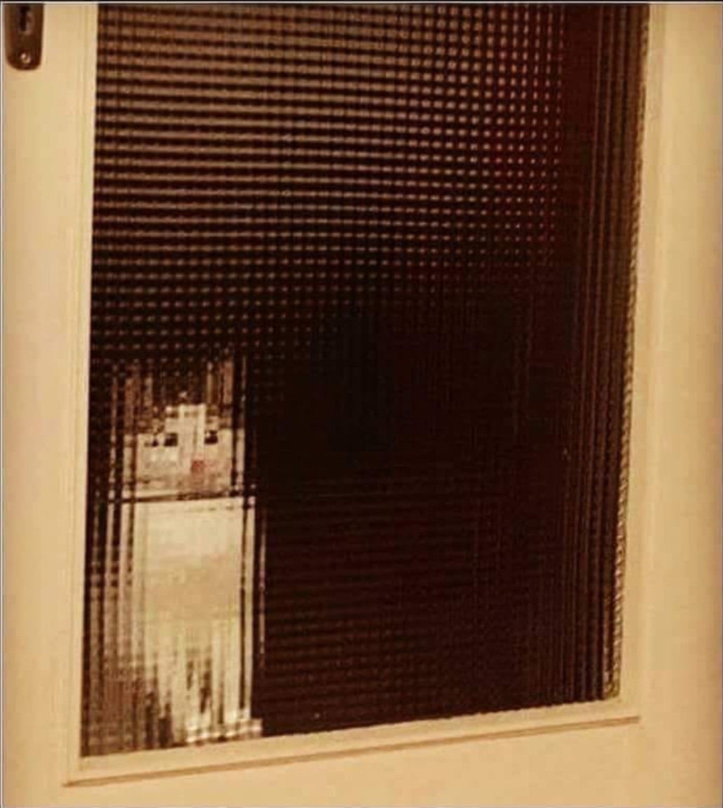 cat from the 80ies.jpg