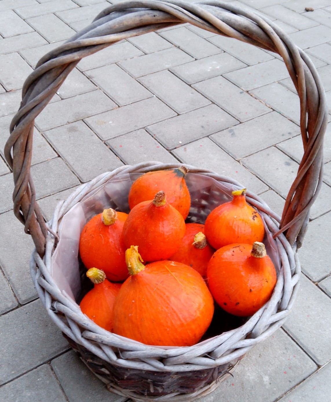 WhatsApp Image 2025-10-17 at 09.14.15.jpeg