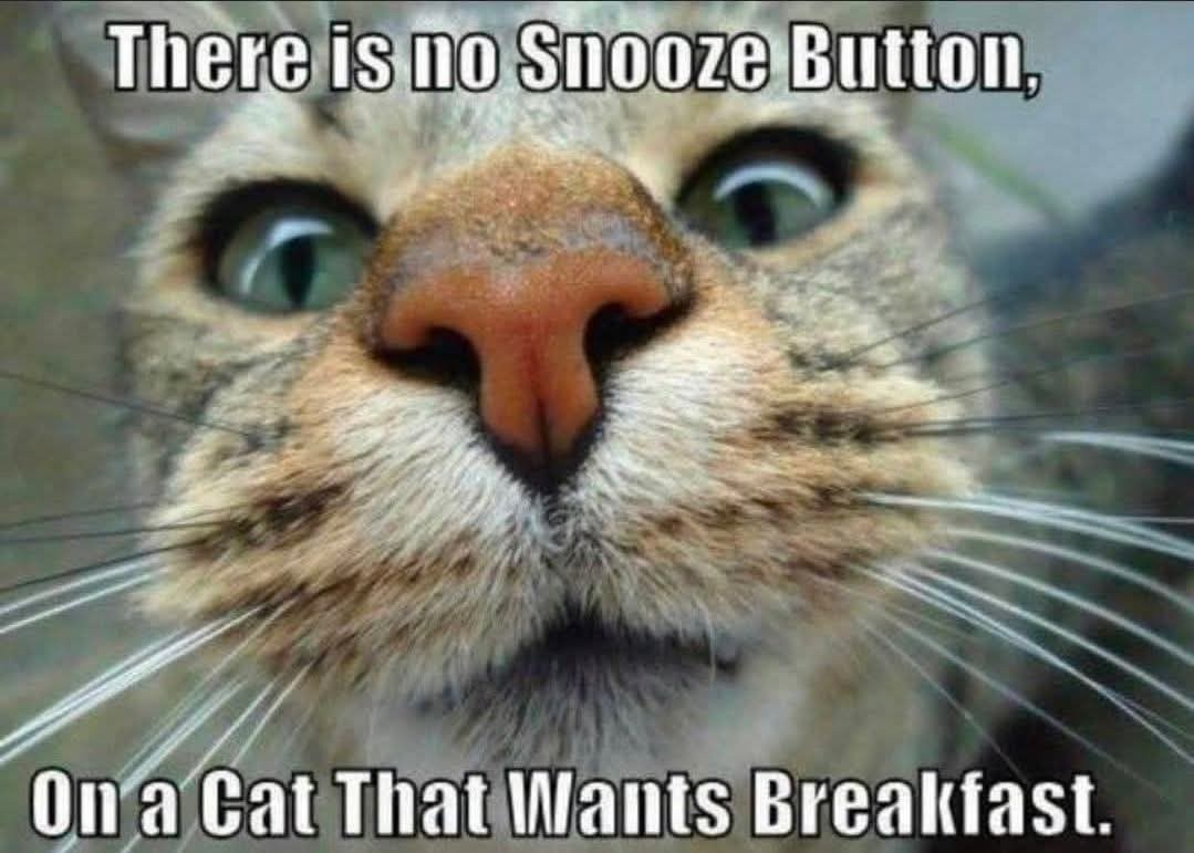 Snooze button.jpg