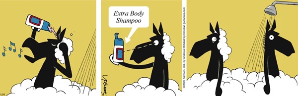 extra Shampoo.jpg