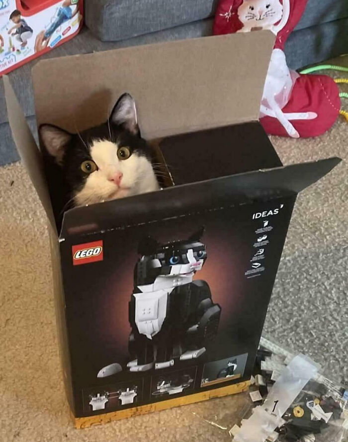 Lego-Cat.jpg