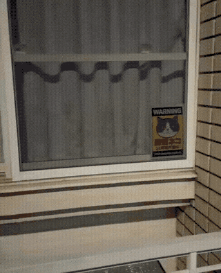 purr-fect-security-system-1769132289.0188.gif
