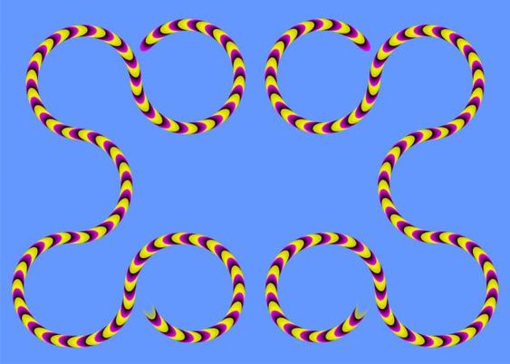 7ab71d62e1d2fd8a383c402a675a060a-1728175522.0653.jpg