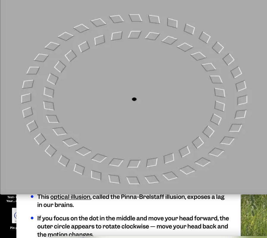 abcScreen-Shot-2025-06-12-at-9-02-28-AM.png