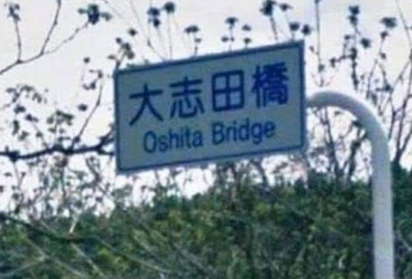 Oshita bridge.jpg