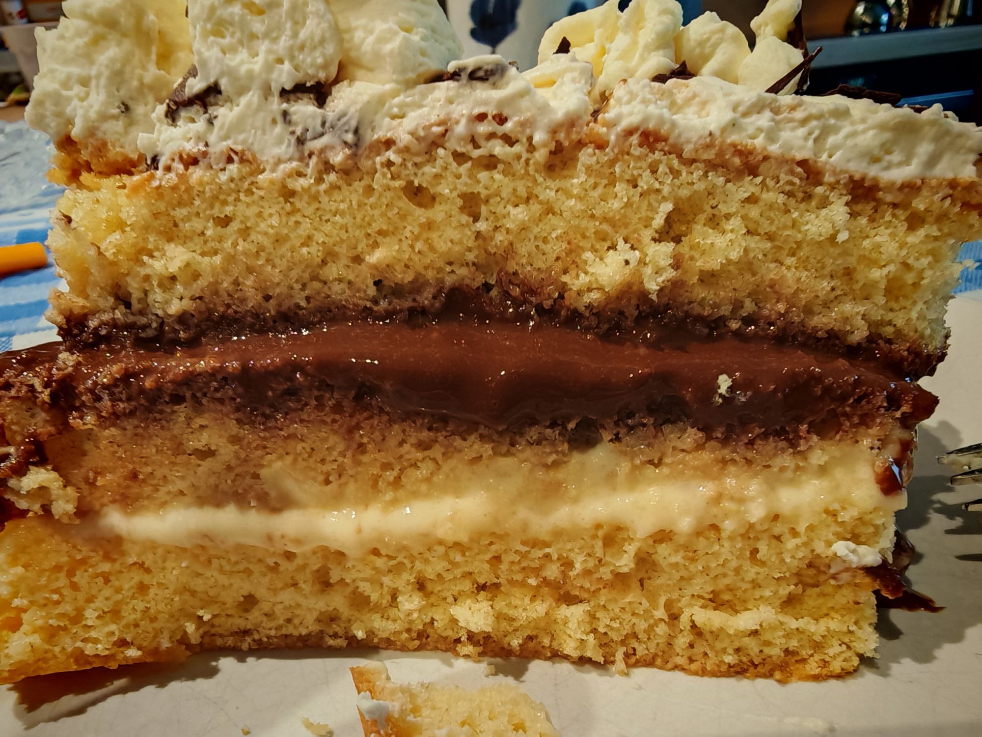 Spongecake - Section.jpg