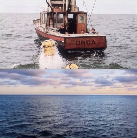 Jaws - Then and now.jpg