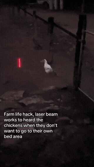 farm-lifehack-1773101754.5561.gif