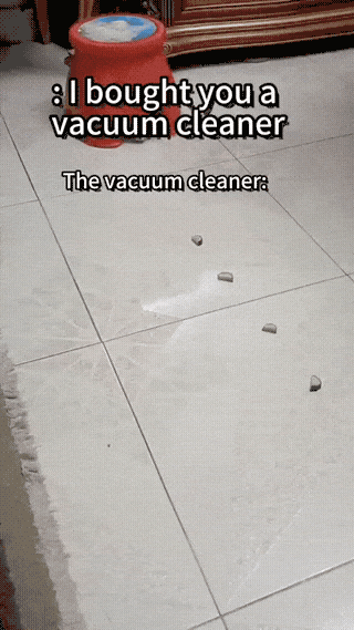 cat-vacuume-cleaner-1773188481.6973.gif