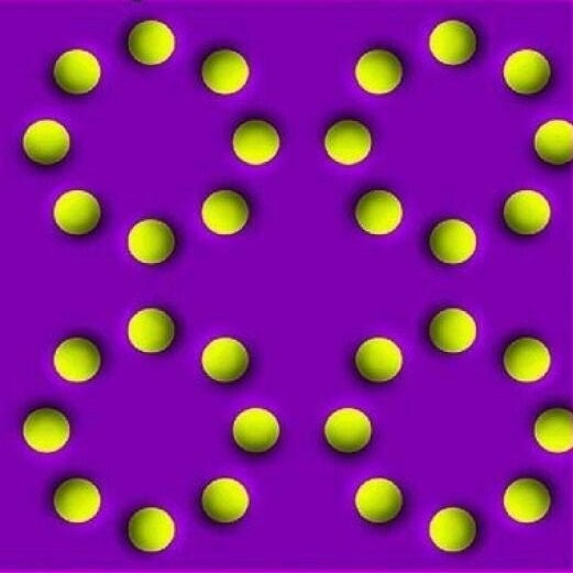 rotmain-qimg-3b82ecda3b7872624b5fdf700fd4334a-lq-1773275158.6447.jpeg