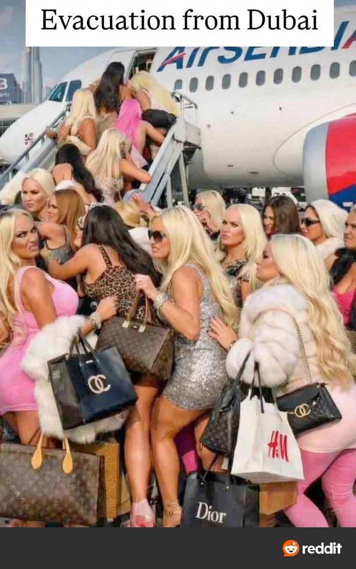 WhatsApp Image 2026-03-03 at 17.13.19.jpeg