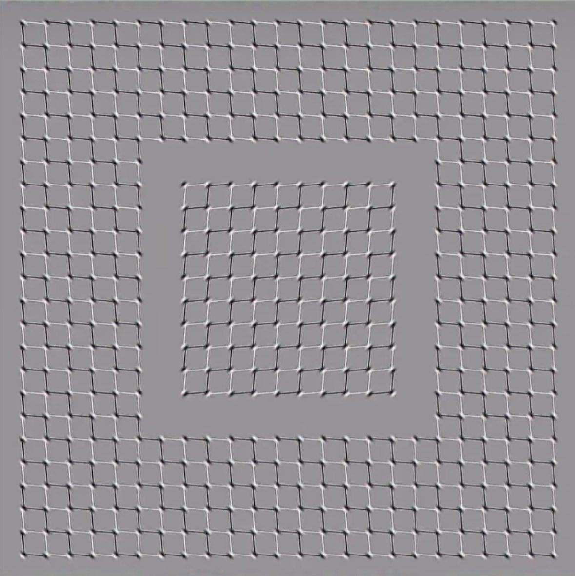 657657976_844768085302229_9034963876932488104_n.jpg