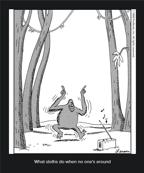 sloth.png