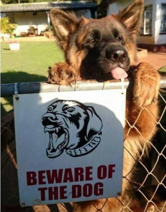 Beware of the dog.png