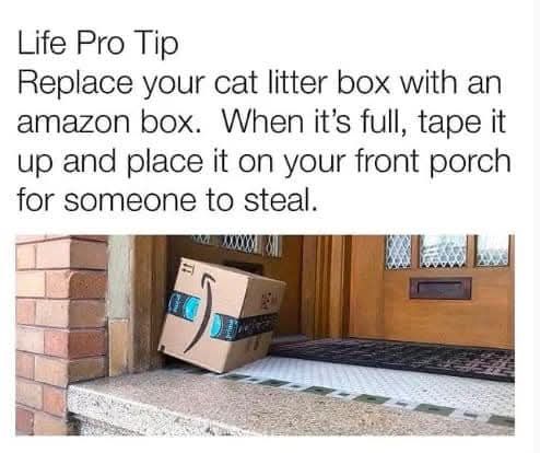 porch pirate.jpg
