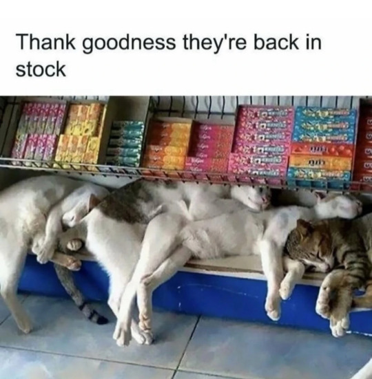 BackInStock.jpg