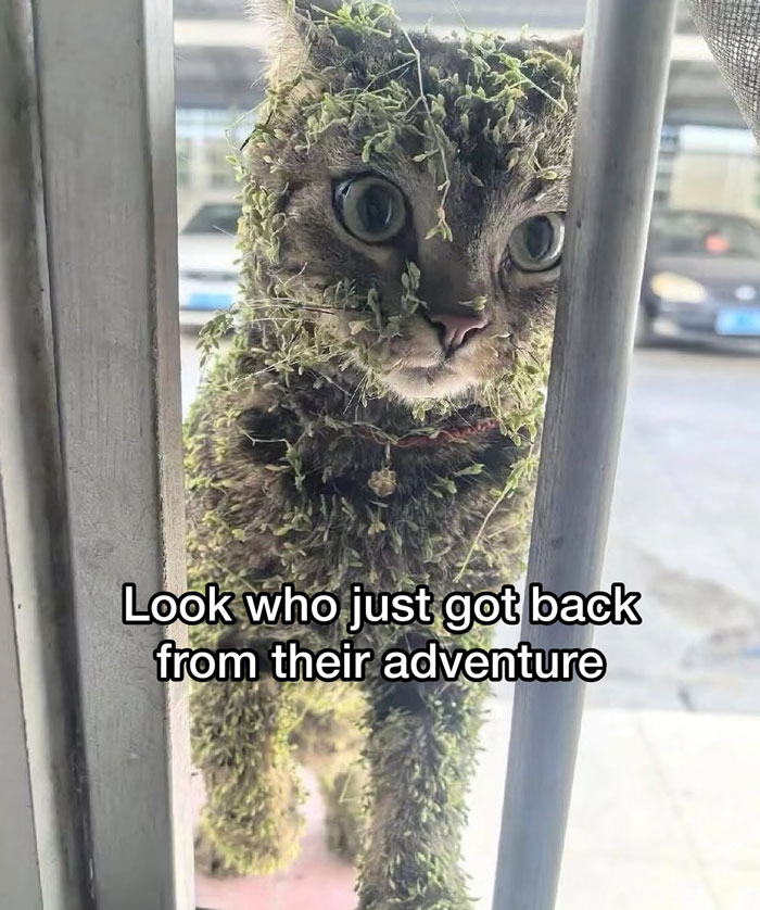back from adventure__700-1784592926.0614.jpg