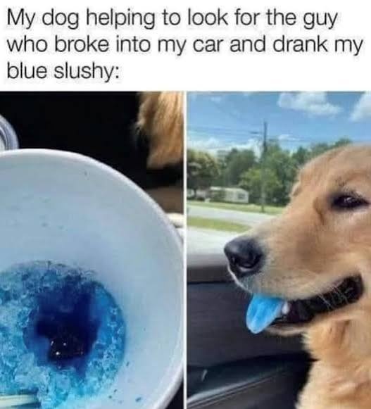 blue-main-qimg-c38bdf8144ccf3c50f33b98d51899ce5-1785283739.5643.jpeg