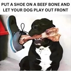 shoebonemain-qimg-ccf8e437aebf93484406795ec423fcc3-1786667297.4007.jpeg