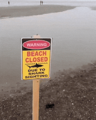 bark-attack-1755218640.1116.gif