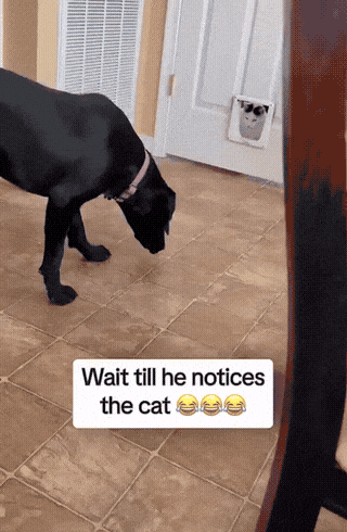 you-cannot-fast-travel-when-enemies-are-nearby-1753578421.7004.gif