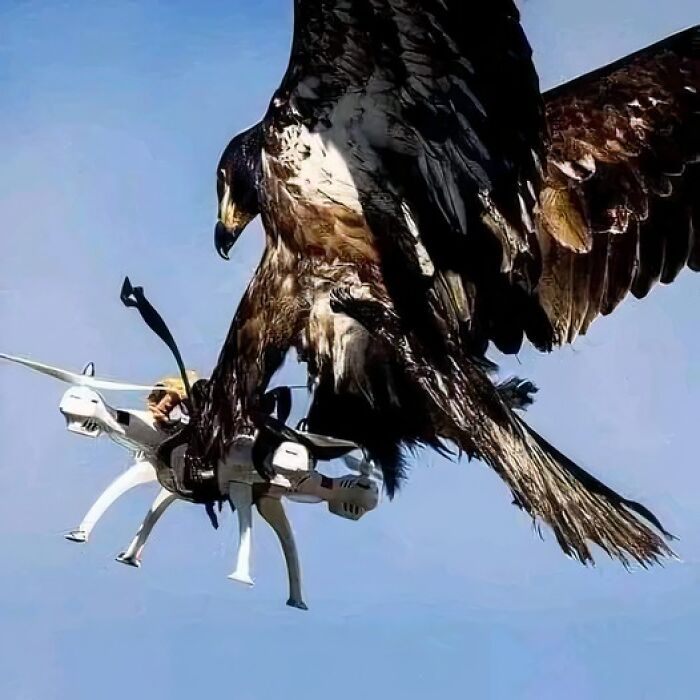 drone6617b21617eab_weird-strange-interesting-things-1713056450.935.jpg