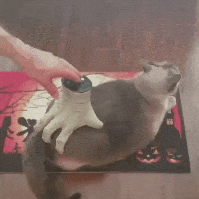 hand-cat-massager-1790035483.7768.gif