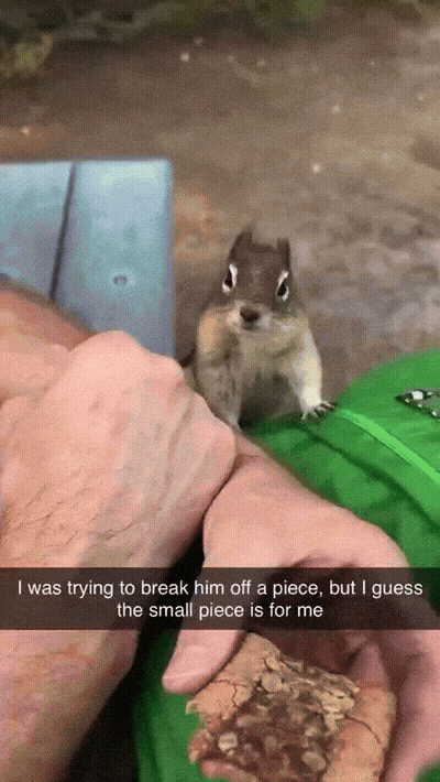 little-thief-got-the-big-deal-1790209424.0322.gif