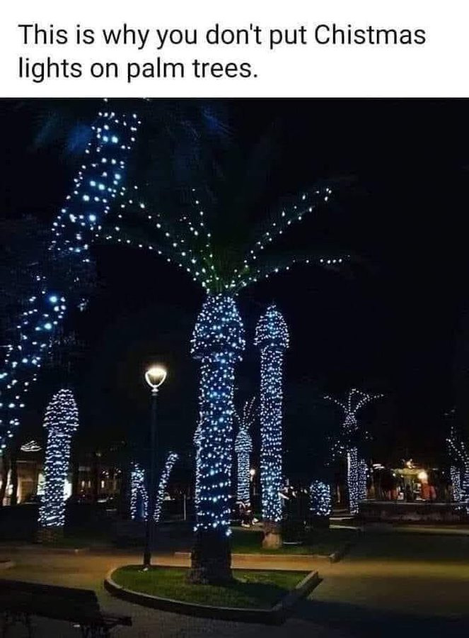 ChristmaslightsPalmtree.jpg