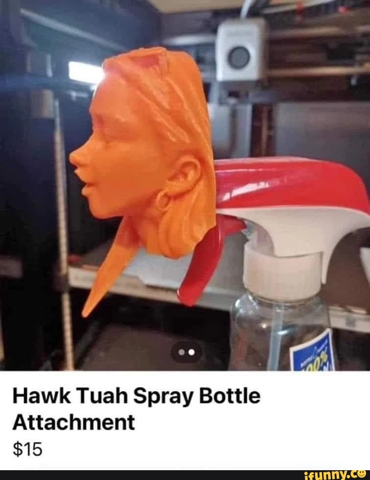 Hawk-Tuah.jpg