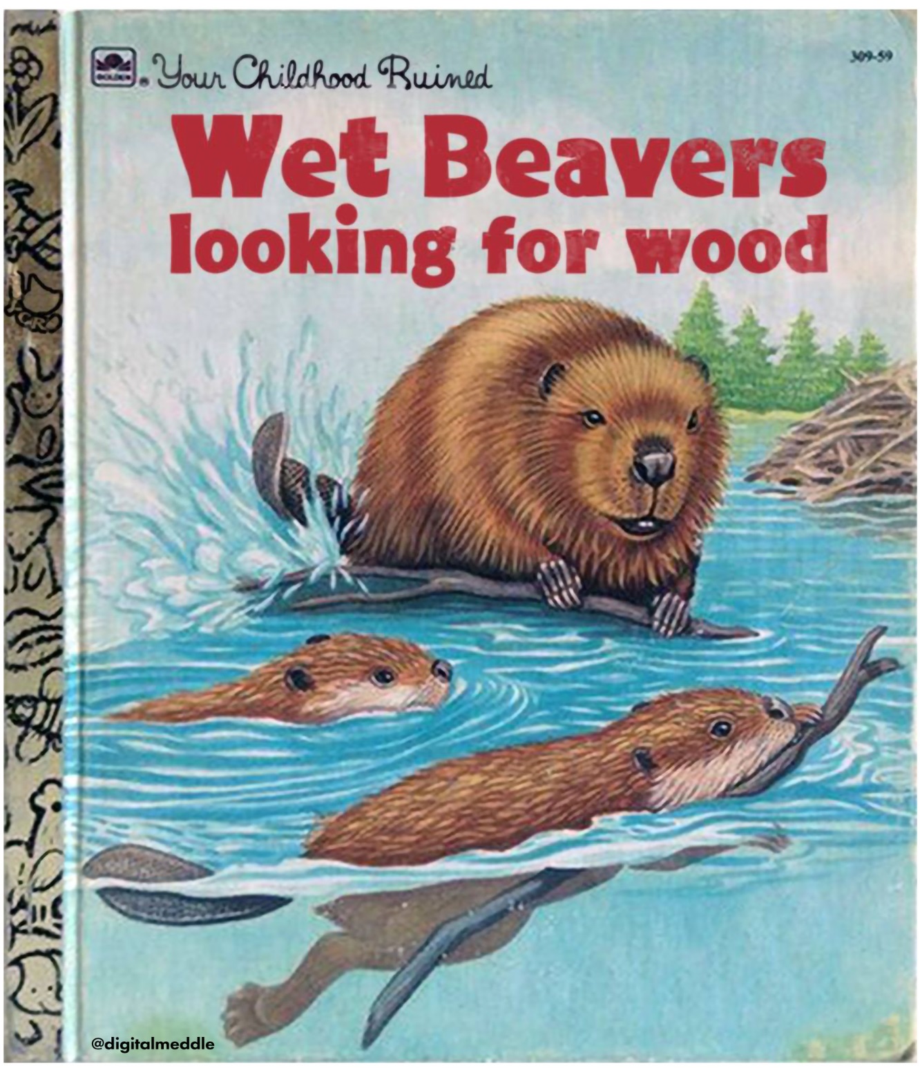 Beavers.jpg