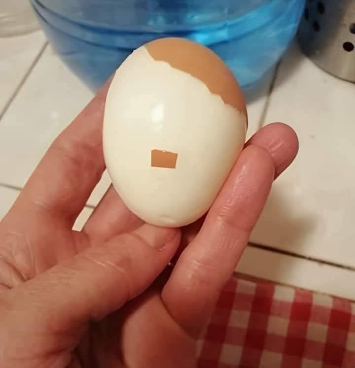 AH-egg.jpg