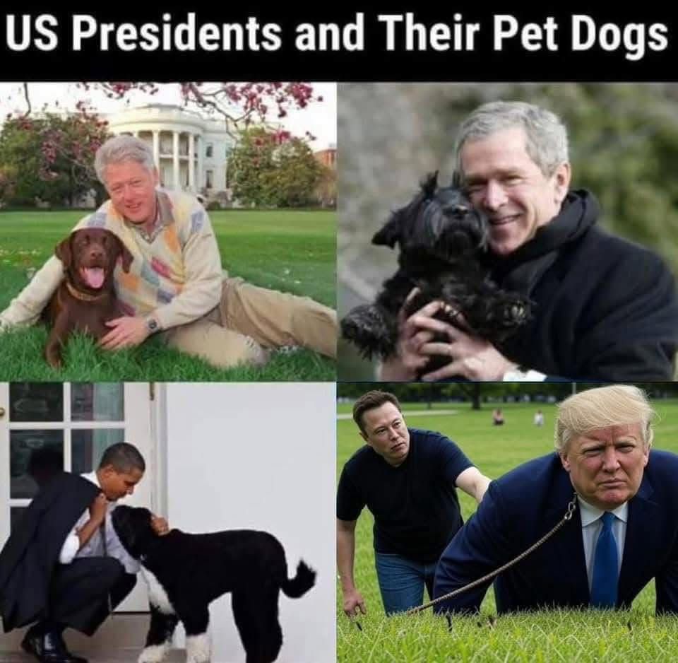 Pet-Dogs.jpg